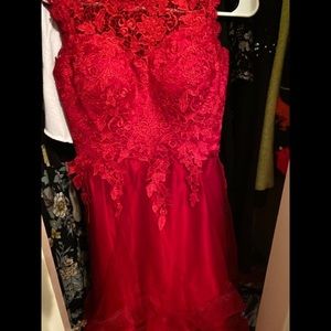Vintage Red Cocktail/Prom Lace Dress